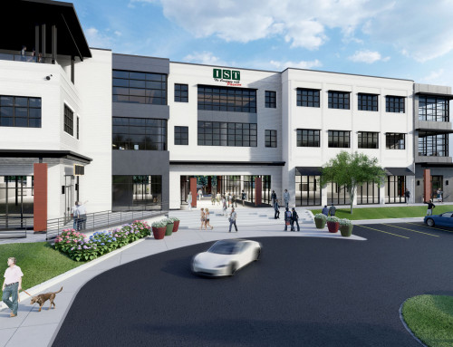 IST MANAGEMENT SERVICES AT HALIDOM